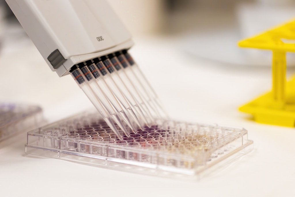 384-well NX PCR Plate, White 50 plates